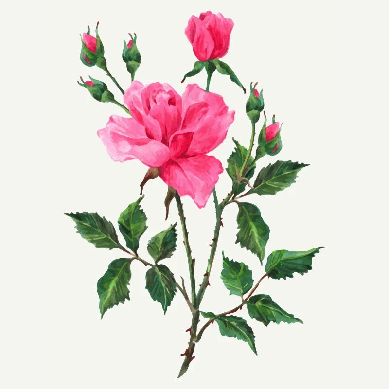 Fleur