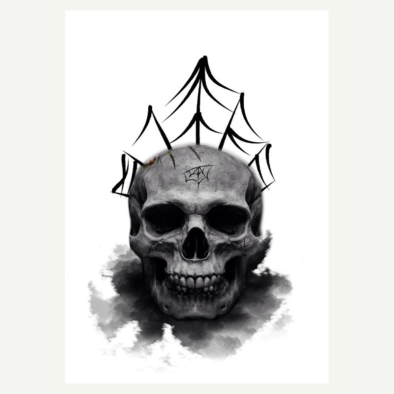 Crâne d’araignée morte