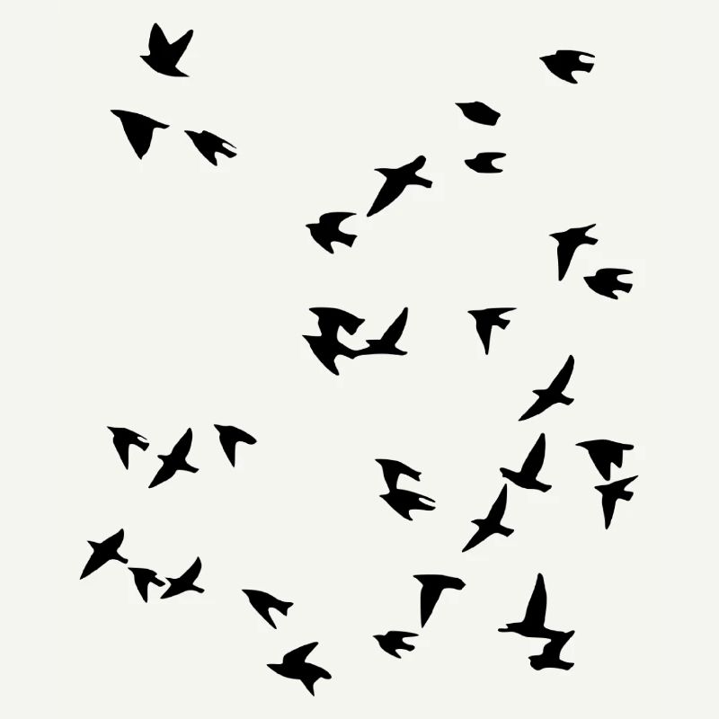 Bird flock flies