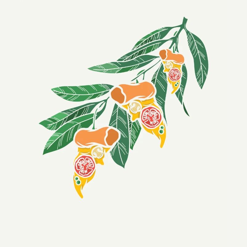 Feuilles de pizza