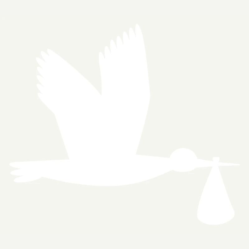 cigogne