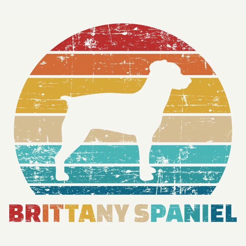 Brittany Spaniel