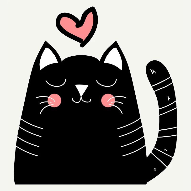 Chat chats chat amour chat comme un cadeau