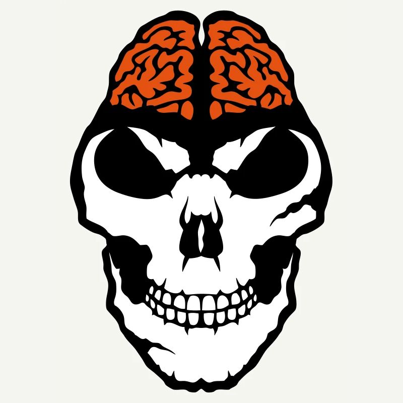 brain brain death brain skull
