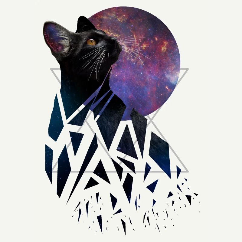 Chat de l’espace - série d’animaux de l’espace