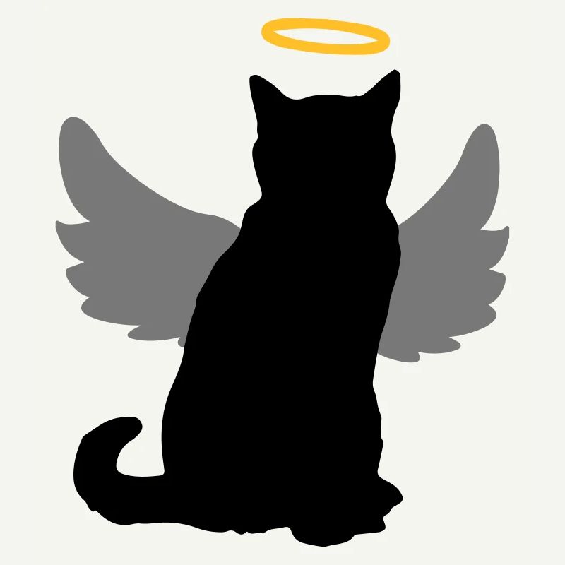 Chat d'ange avec des ailes et un halo!