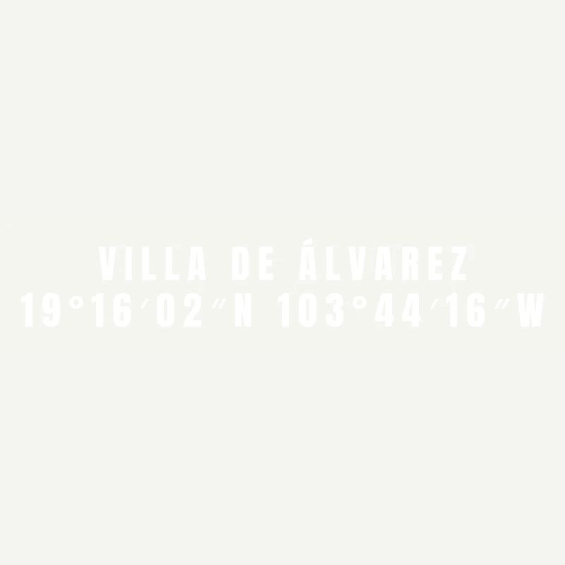Villa de Álvarez, Mexico Coordinates
