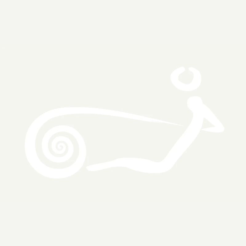 Rowing Machine Trance 2