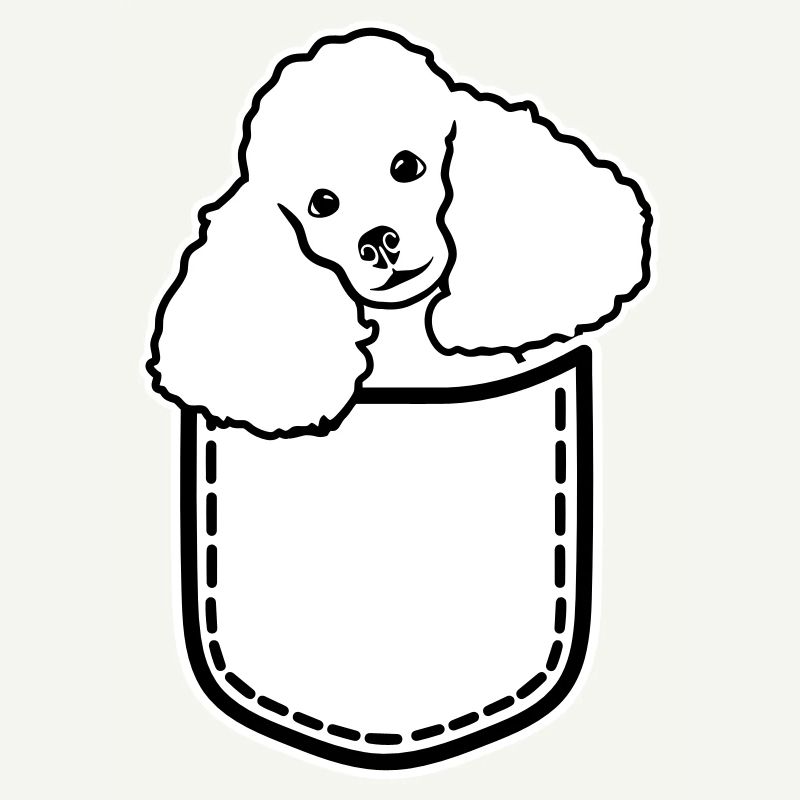 Caniche