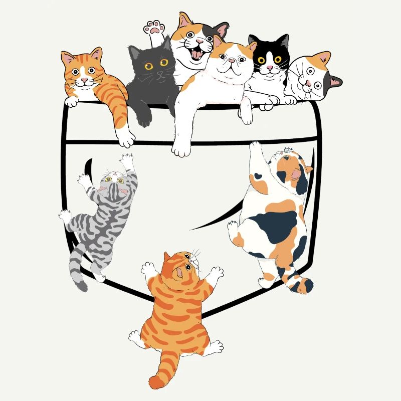 Süße Katzen klettern - originelle Geschenkidee