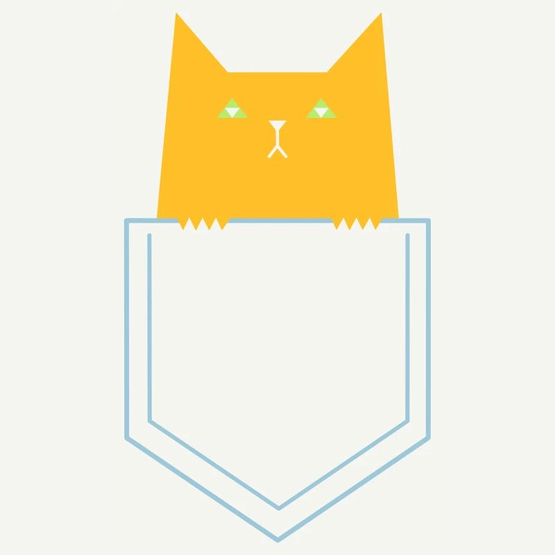 Chat dans la poche