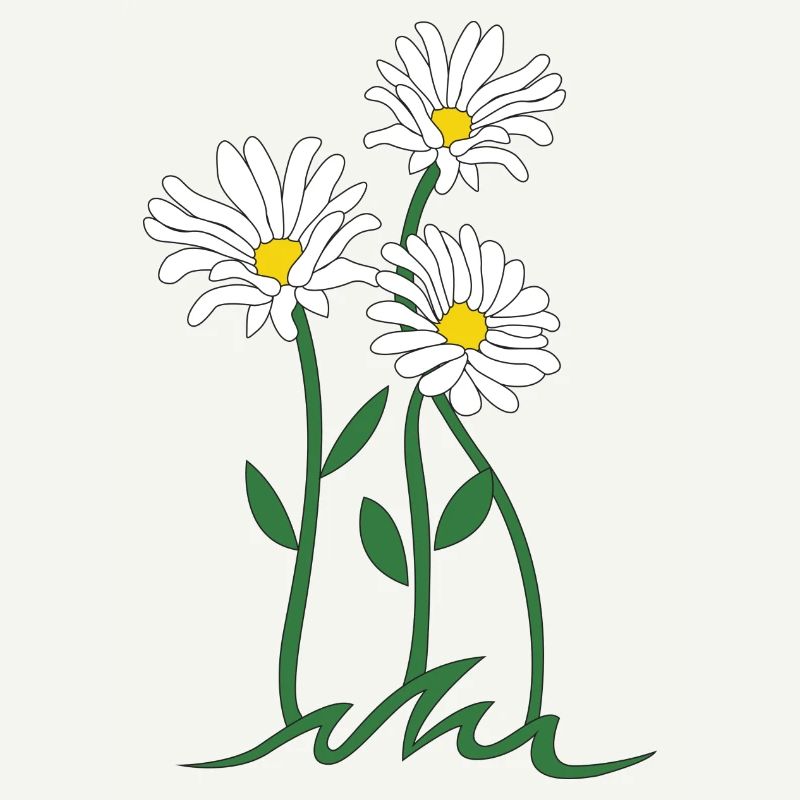 daisy