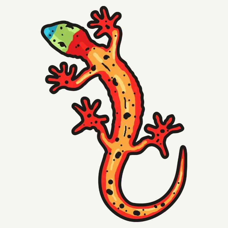 gecko