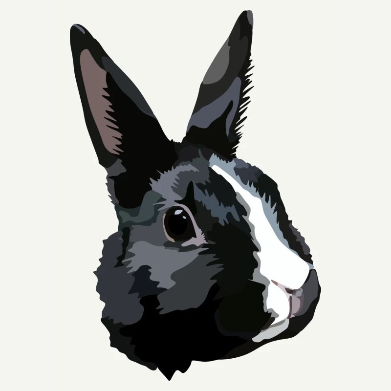Lapin noir et blanc