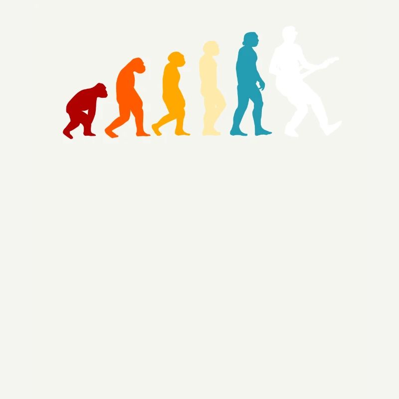 E-guitare Evolution