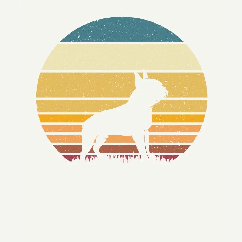 Boston Terrier