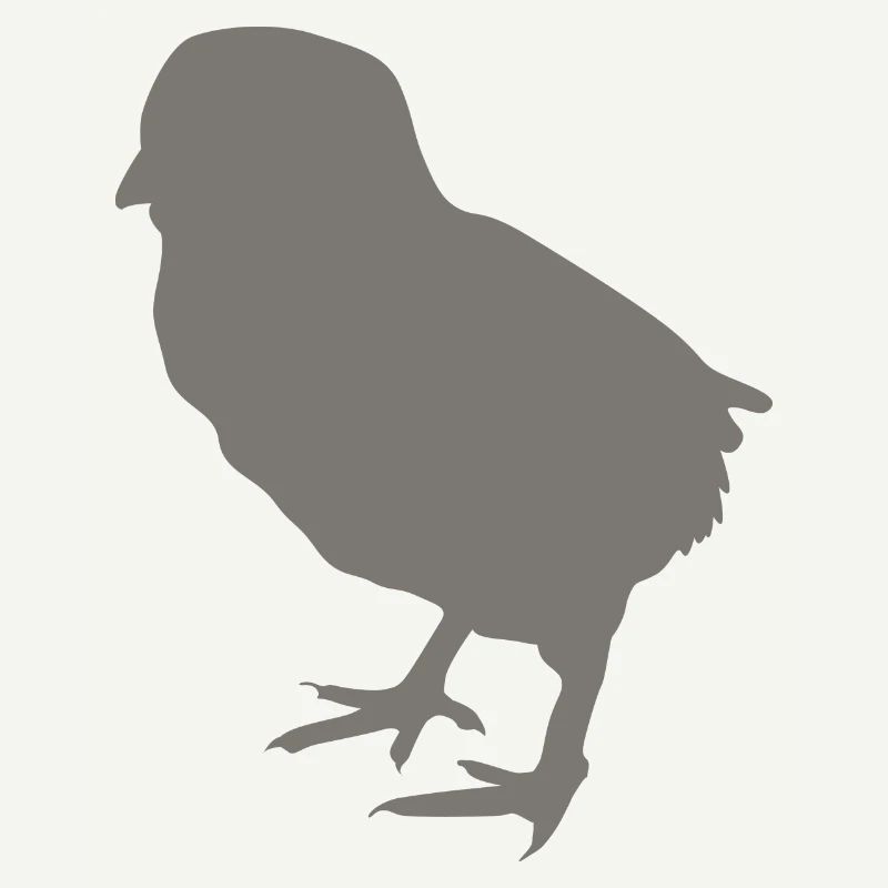 poussin