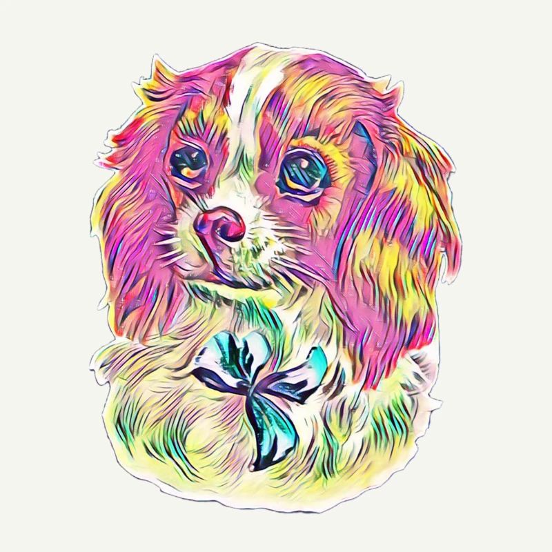 Cavalier King Charles Spaniel