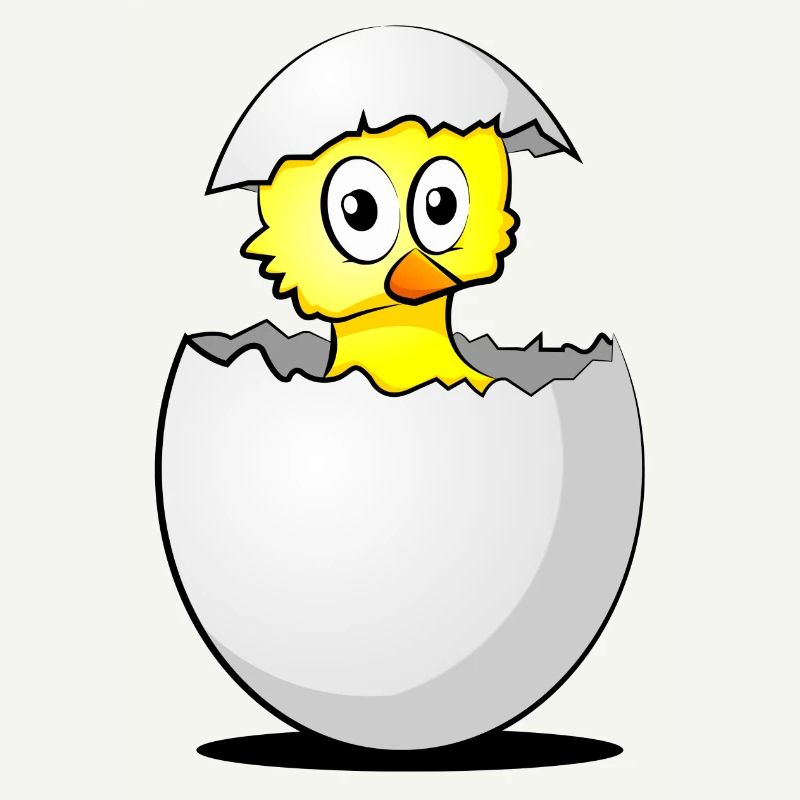 Chick