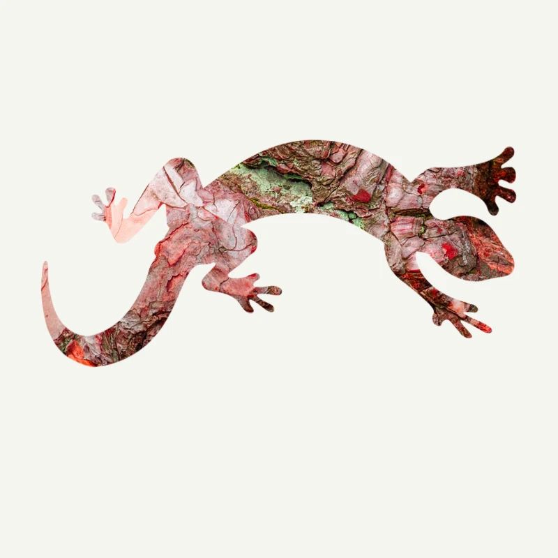 Red lizard reptile