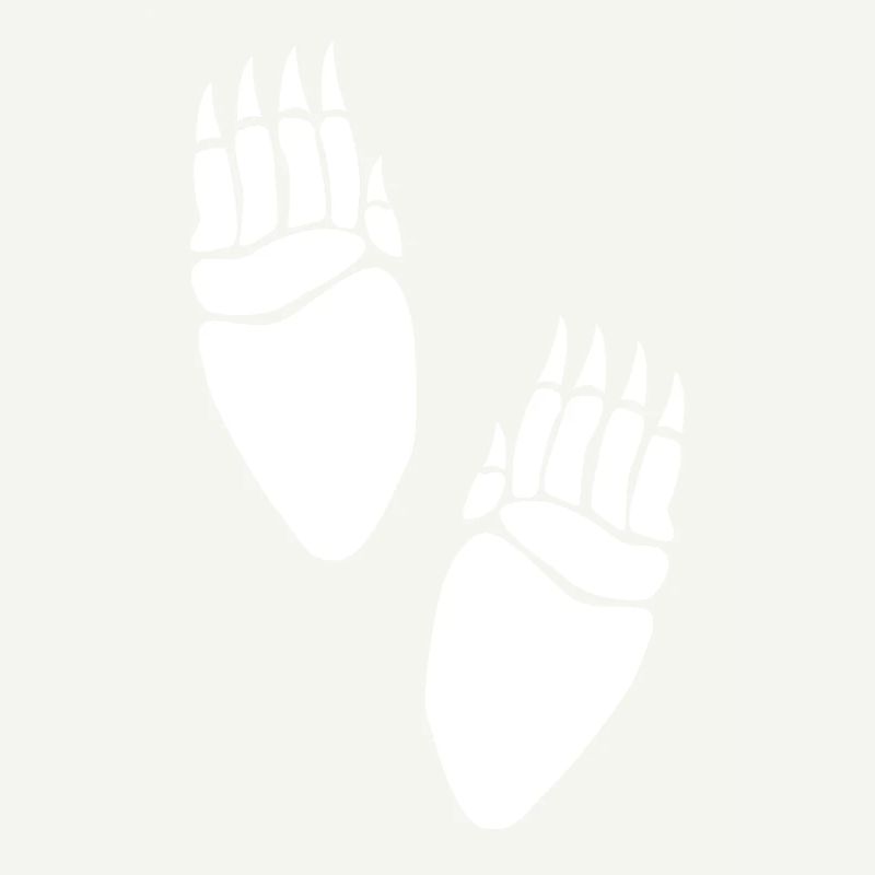 long white bear prints paws