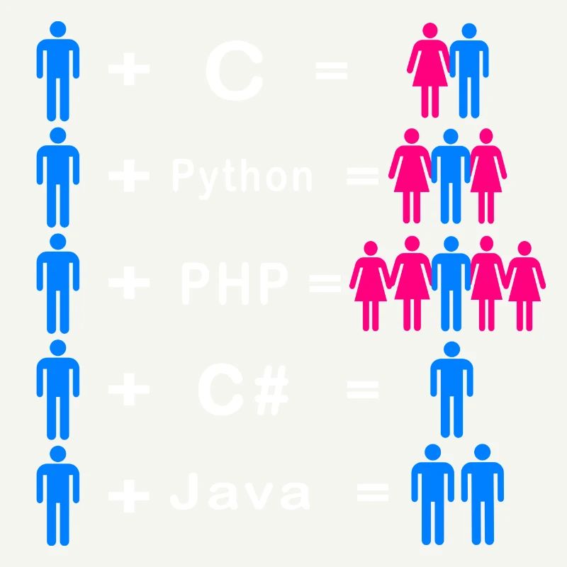 Programmer