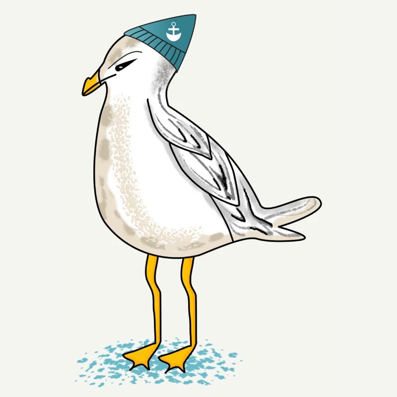 Möwe an der Küste