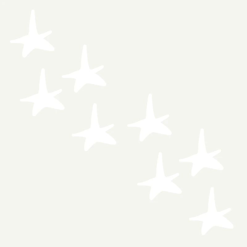 Stars Star Pattern Shapes Icon