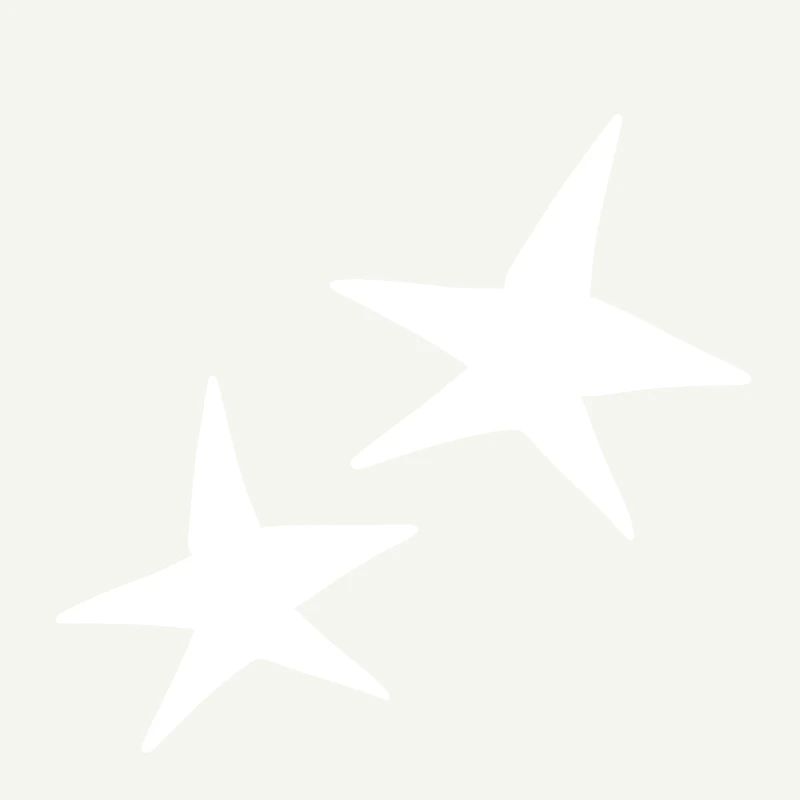Star Shape Two Stars Icon