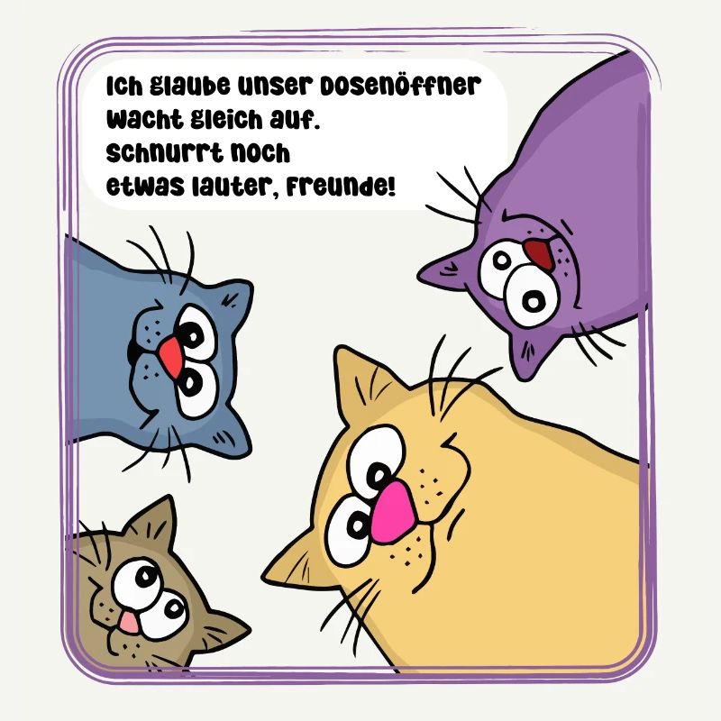 Chats le matin