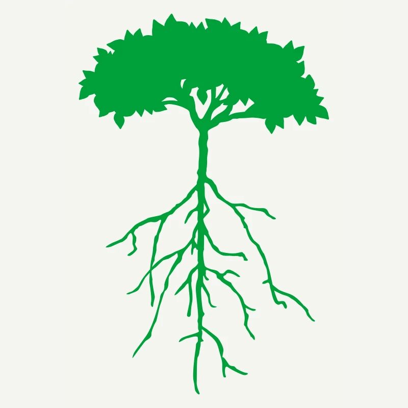 root tree
