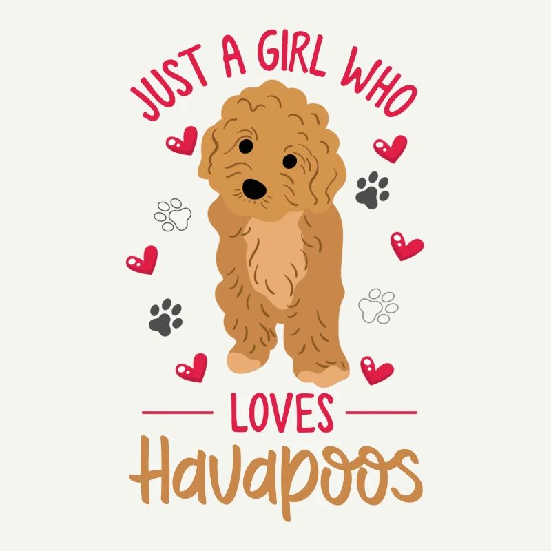 havapoo, havapoo havapoo mother, Havanese,