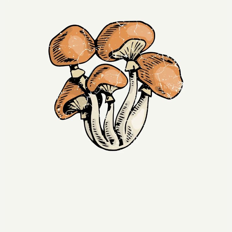 Psychedelic Mushroom, Hippie