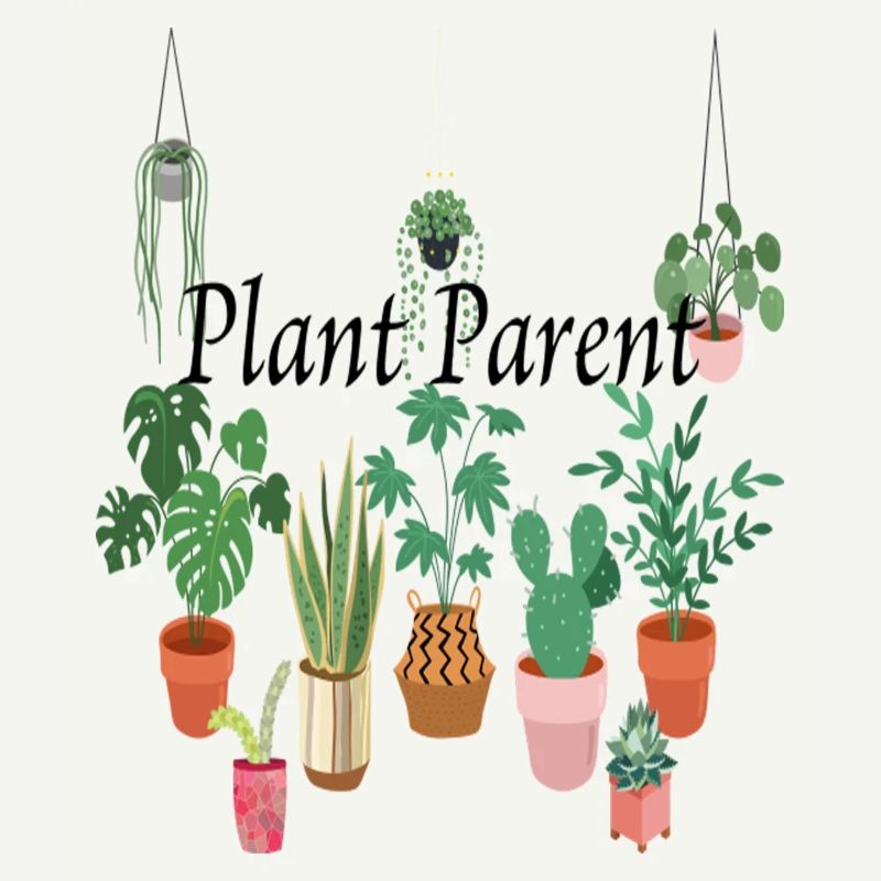 Plant Ouder