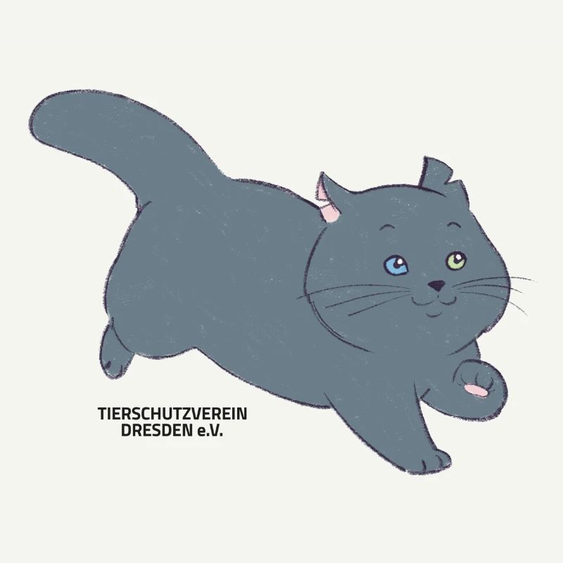 🐾 Schwarze Katze 🐈‍⬛