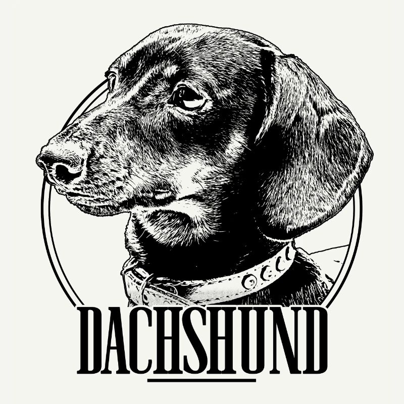 Dachshund Dackel Teckel
