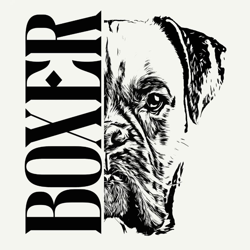 Deutscher Boxer Hund