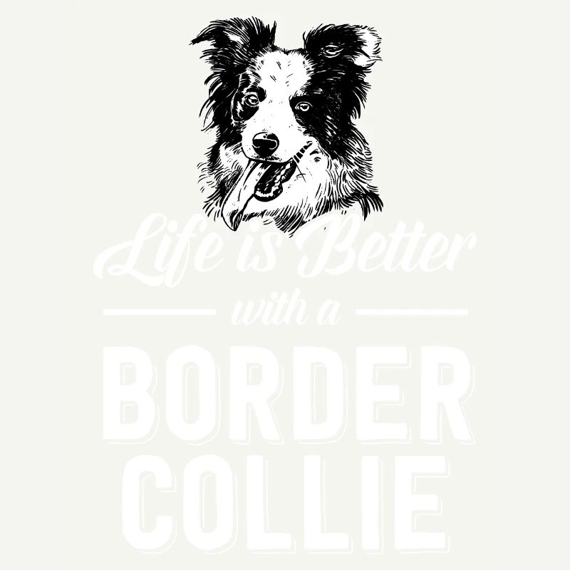 Border Collie chien chiot élevage Agility chien de compagnie