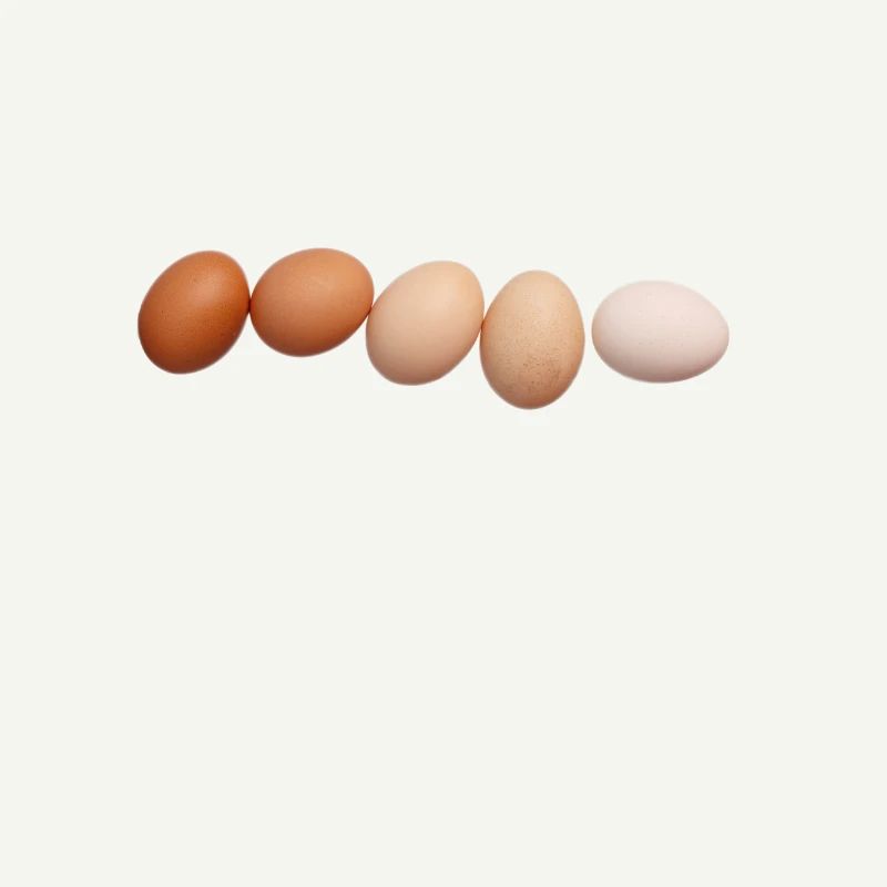 œufs