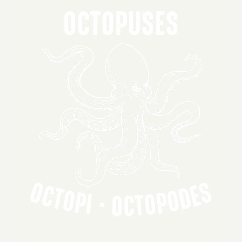 Octopus Octopus Cuttlefish Animal