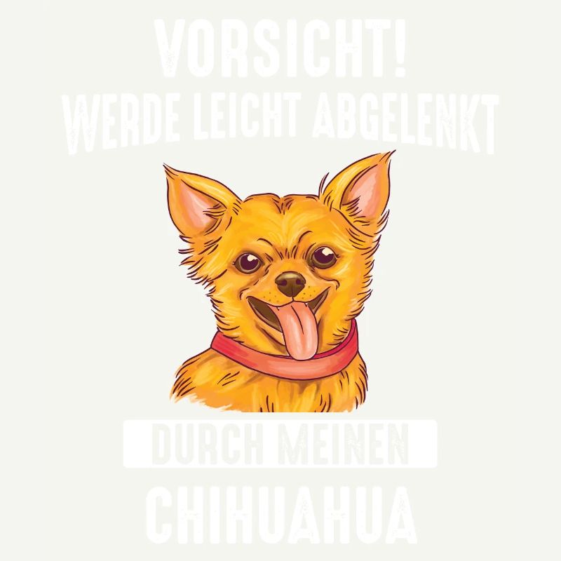Chihuahua Techichi Hund