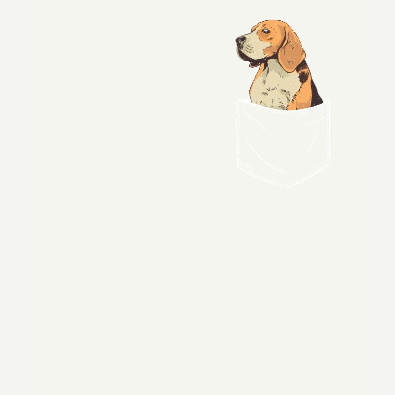 Beagle Hund