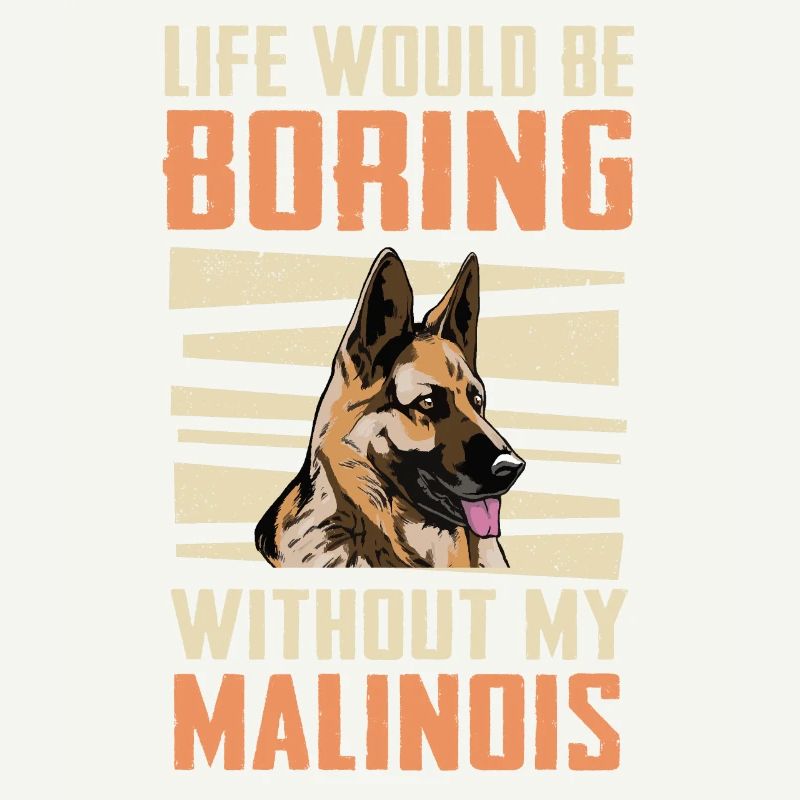 Malinois Hund