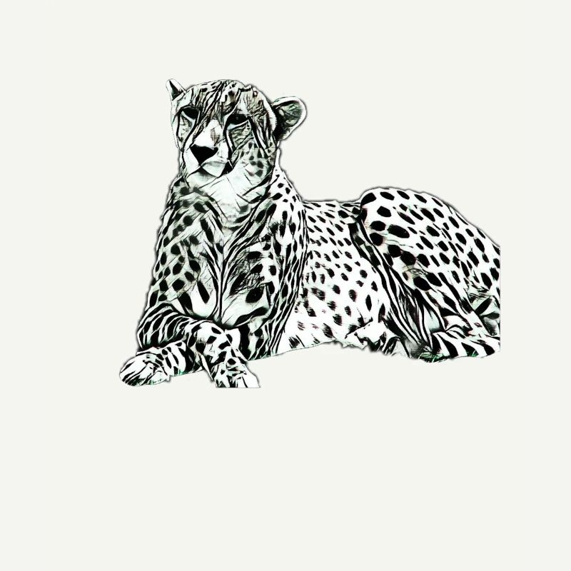 Guépard