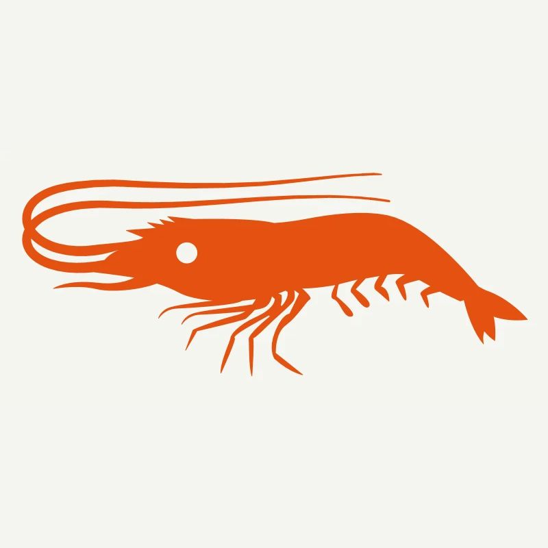 single shrimp prawn with antennae