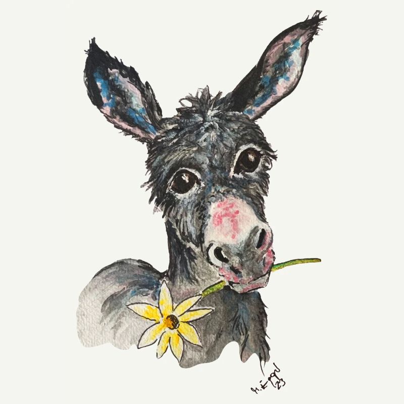 Donkey "Bruno"
