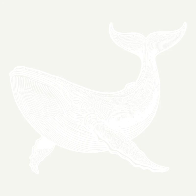 Vintage Whale Huge Floating Sea Creature