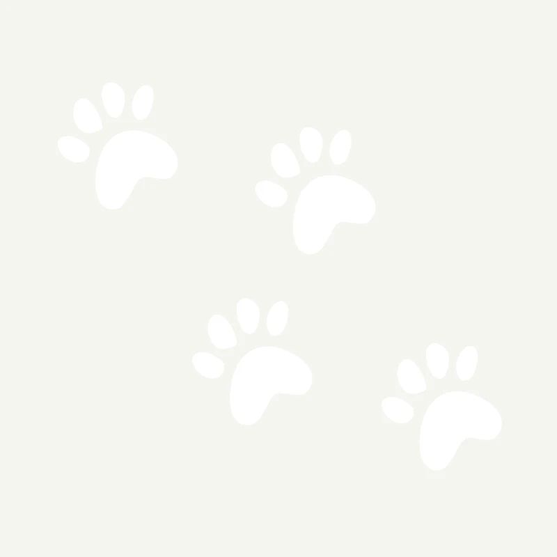 Mignon chat/chiens traces