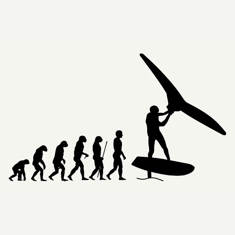 Évolution du foilwing