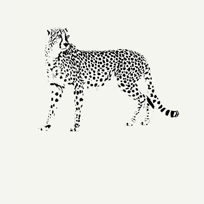 guépard